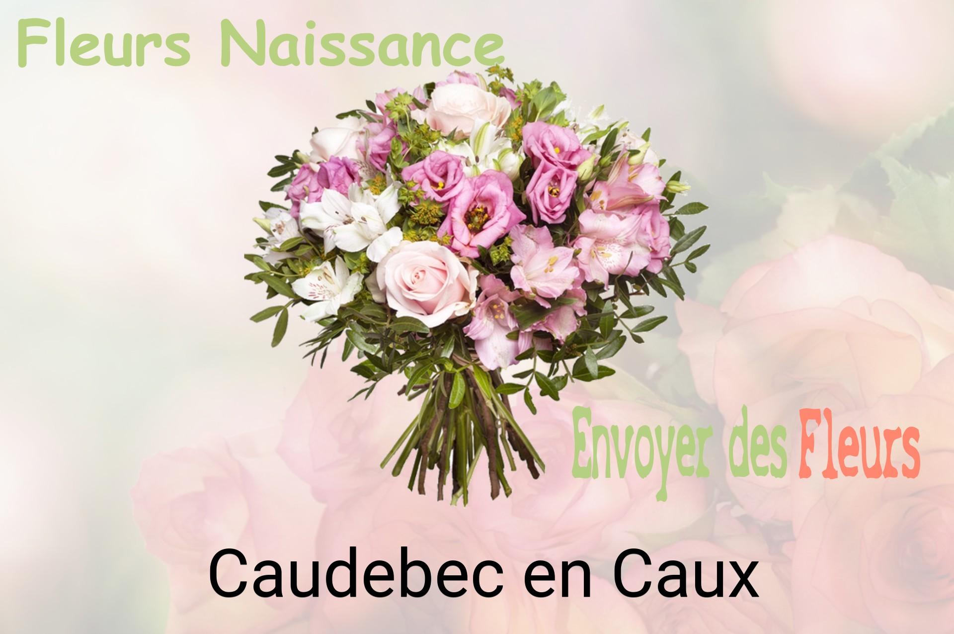 Bouquet de fleurs de naissance livré à Caudebec-en-Caux