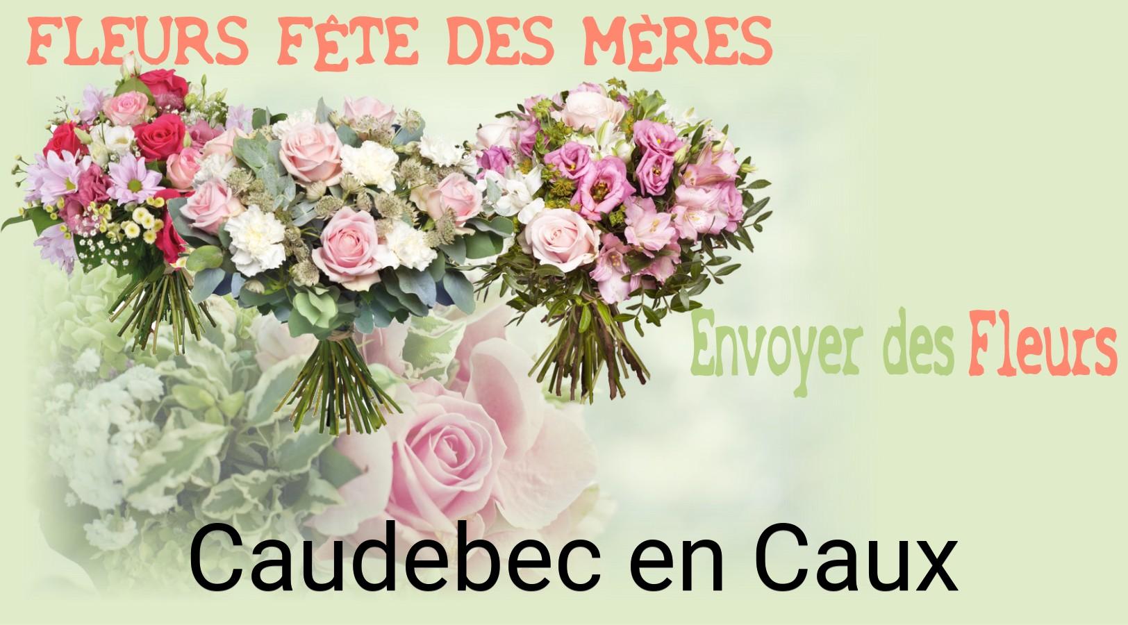 Bouquet de Fête des Mères livré à Caudebec-en-Caux